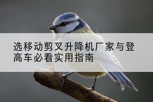 任丘电动升降机厂家-选移动剪叉升降机厂家与登高车必看实用指南