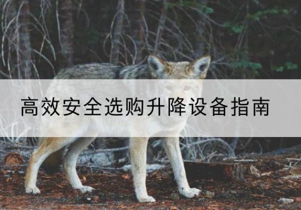 任丘升降货梯厂家推荐-*安全选购升降设备指南