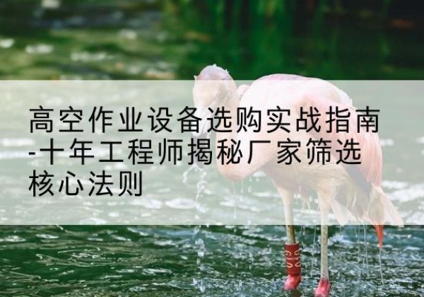 任丘剪叉式升降机厂家-高空作业设备选购实战指南-十年工程师揭秘厂家筛选核心法则